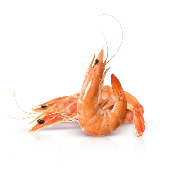 Crevettes